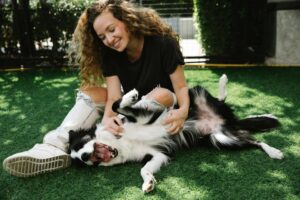 Cool Pet Tips for the Dog Days of Summer
