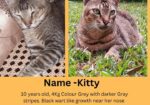 Kitty
